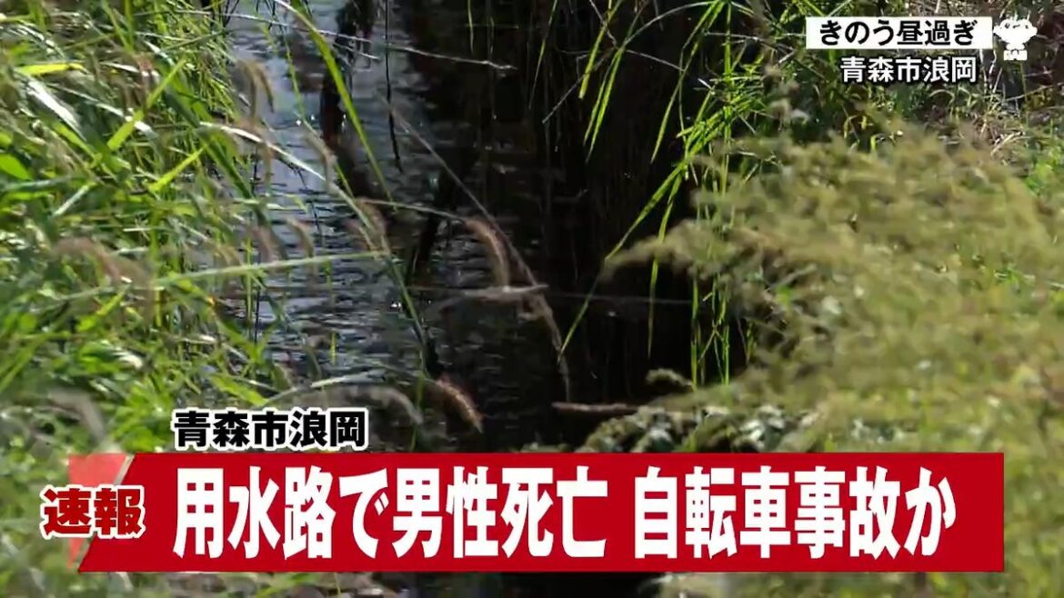 青森放送