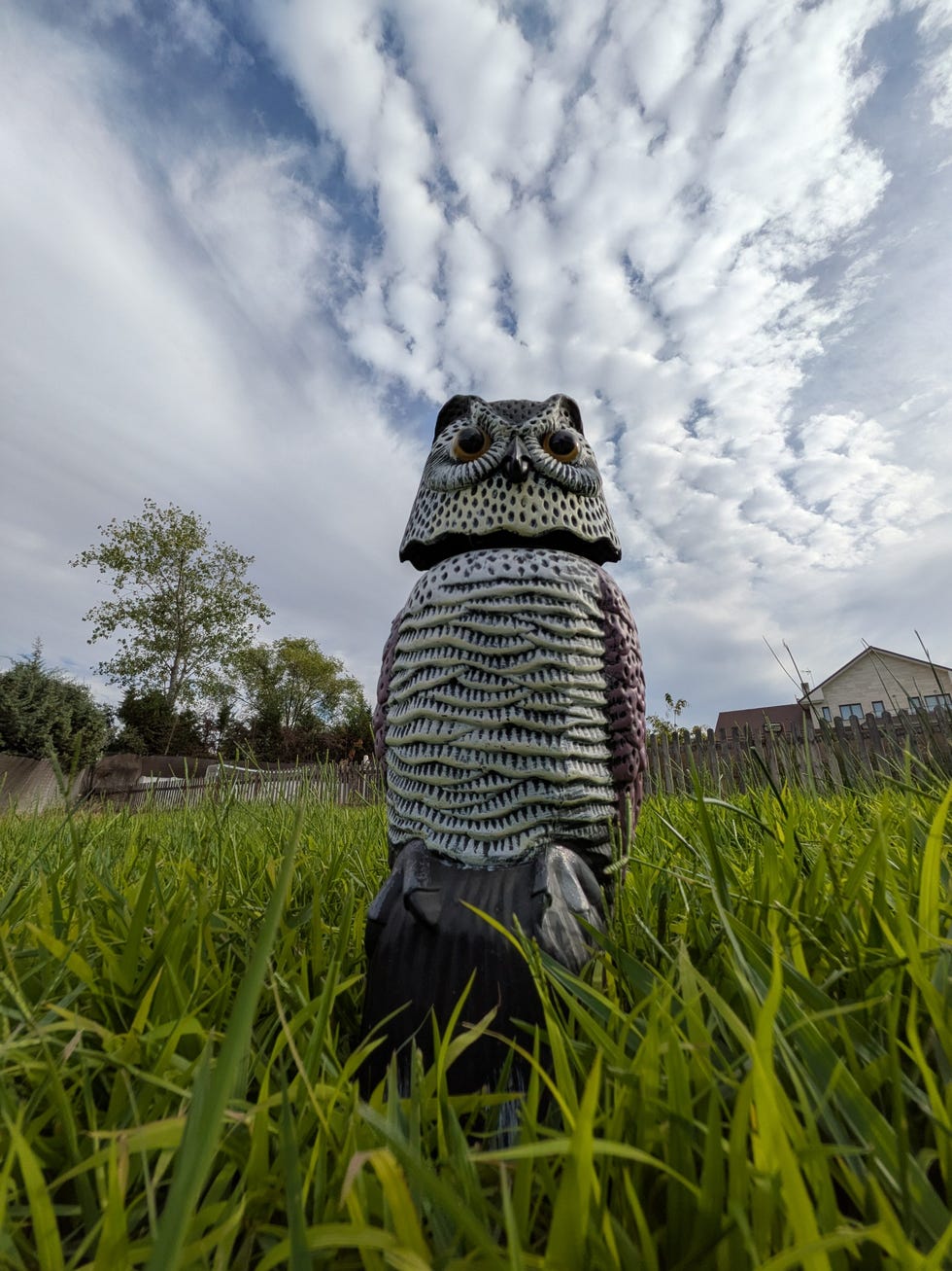 foto teléfono móvil google pixel 10 primer plano de un búho de plástico en un jardín realizada en con un teléfono móvil google pixel 10