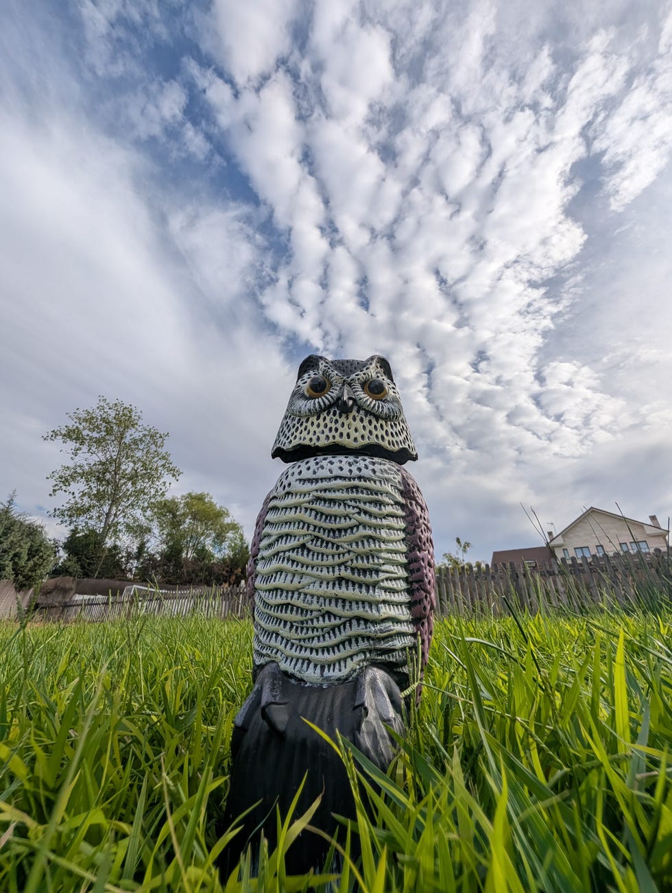 foto google pixel 10 pro primer plano de un búho de plástico en un jardín realizada en con un teléfono móvil google pixel 10 pro