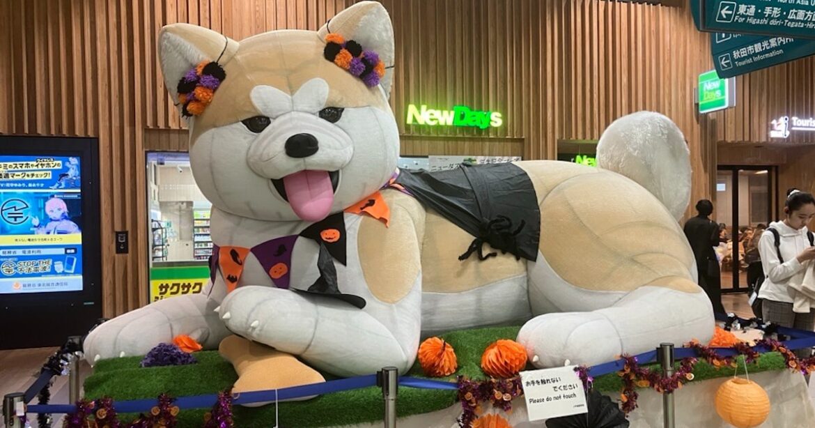 秋田県、冬の観光キャンペーン実施 体験ツアーや割引など - 日本経済新聞