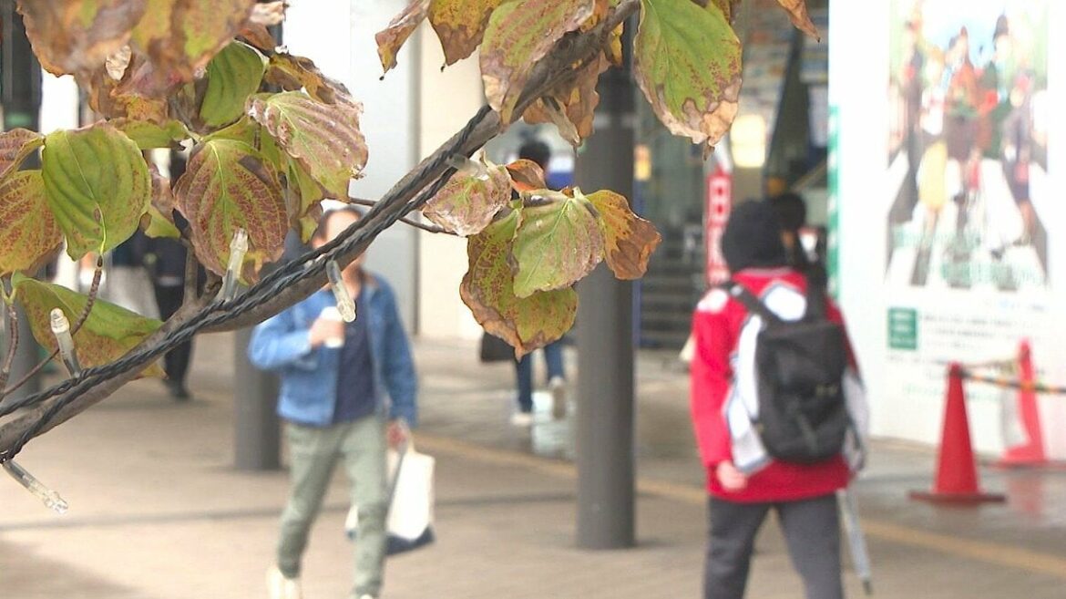 大分県内でインフルエンザ患者数が3週連続増加 学級閉鎖相次ぐ – TBS NEWS DIG 大分県内でインフルエンザ患者数が3週連続増加 学級閉鎖相次ぐ - TBS NEWS DIG