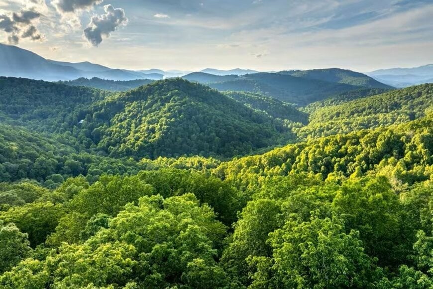 千葉県の山中で発見した「湯呑みに記された文字」に目を疑う 「珍しい!」「欲しすぎる」