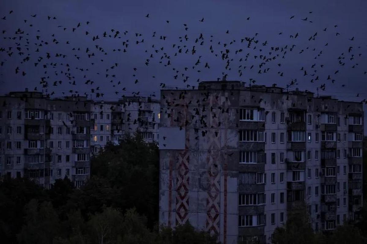 ロシア軍のインフラへの攻撃によって停電となった集合住宅の周囲を飛ぶ鳥＝ウクライナ・チェルニヒウ州/Yan Dobronosov/Reuters