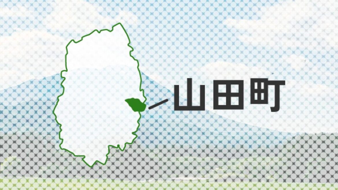 震災で不明、山田町の6歳女児と身元判明 - 岩手日報