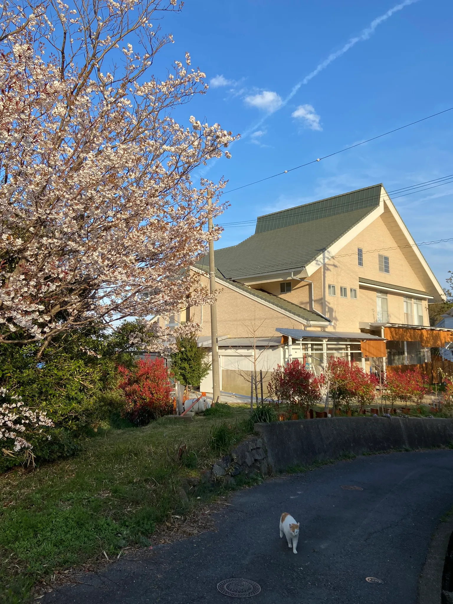 台湾出身の楊百泓さん夫妻は淡路島で「台南家」を営み、《風傳媒》の取材に移住の思いを語った。台南家 TAINAN HOUSE