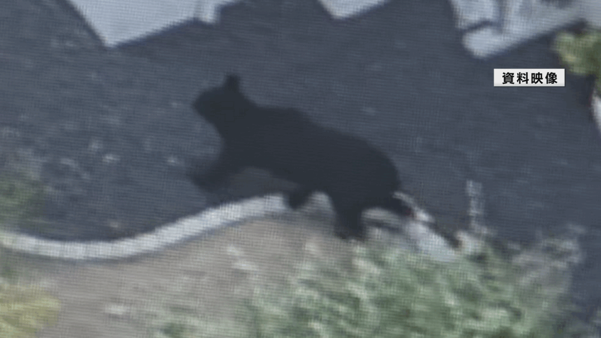 川のやぶ刈り払い 残る部分を11月中に実施へ 山形県がクマの緊急対策会議 県版のパッケージ示す(2025年11月17日掲載)|YBC NEWS NNN 共有