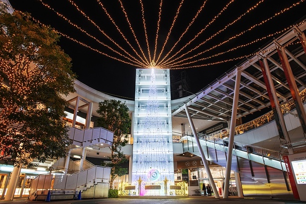 10周年特別仕様の「光のツリー」がキラキラと周囲を照らす