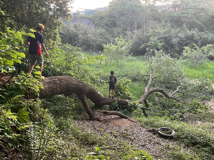 折れた木で遊ぶ子ども達