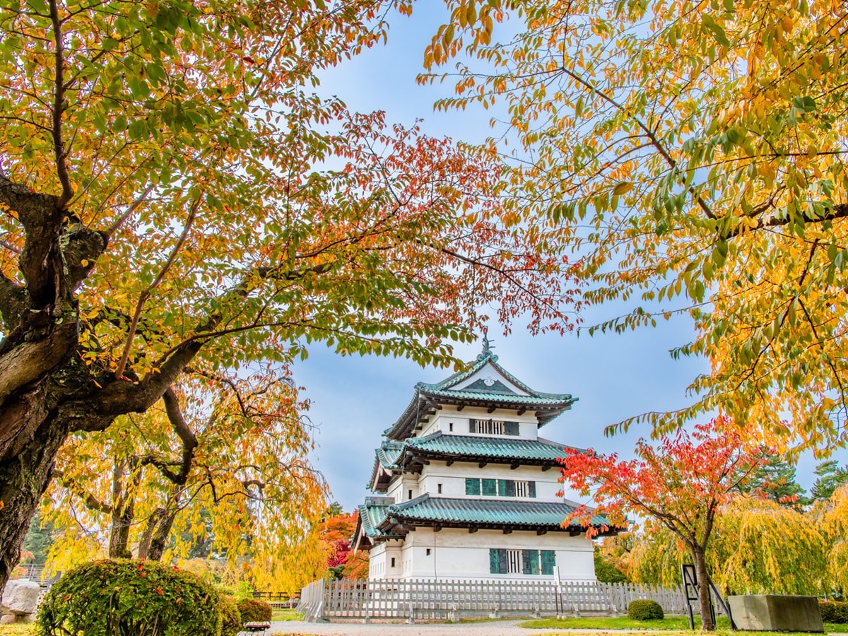 青森県で「ふるさと納税の返礼品が魅力的」と思う市ランキング