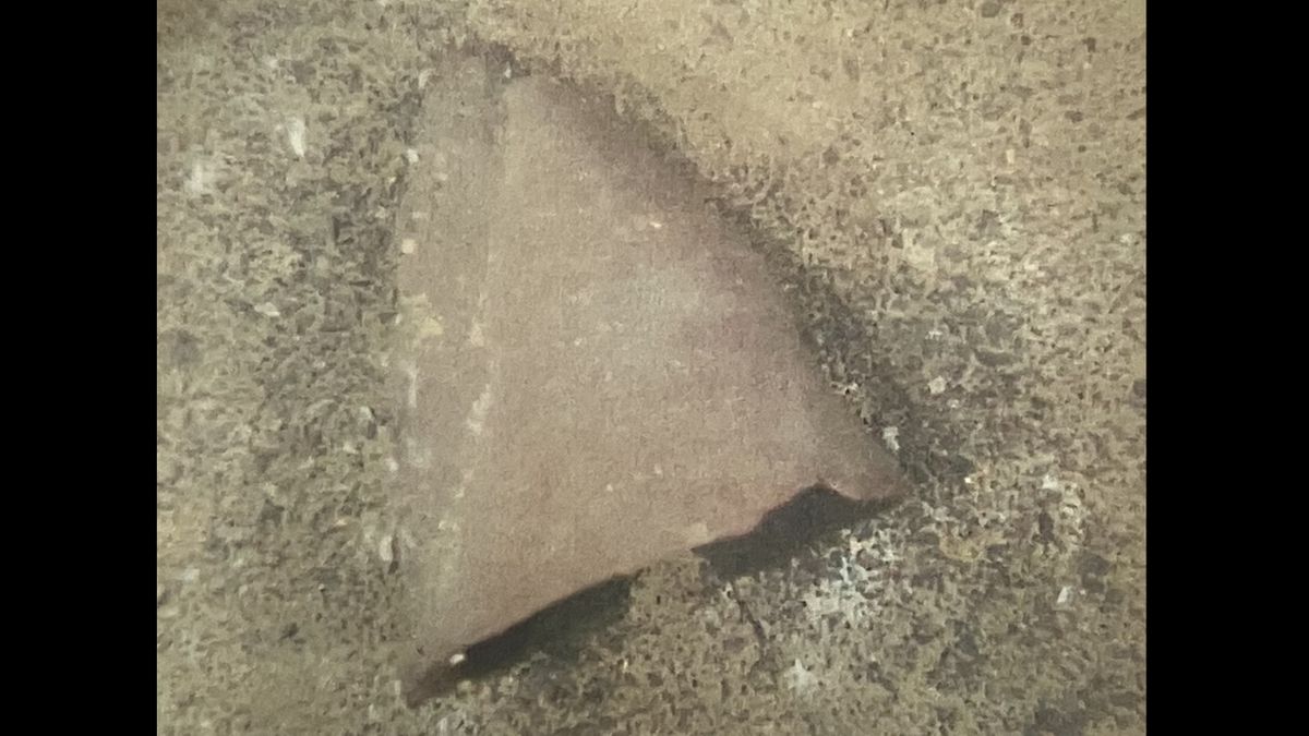 【速報】琵琶湖の湖底から1万年以上前“縄文時代初期”と推定される『土器』がほぼ完全な形で見つかる