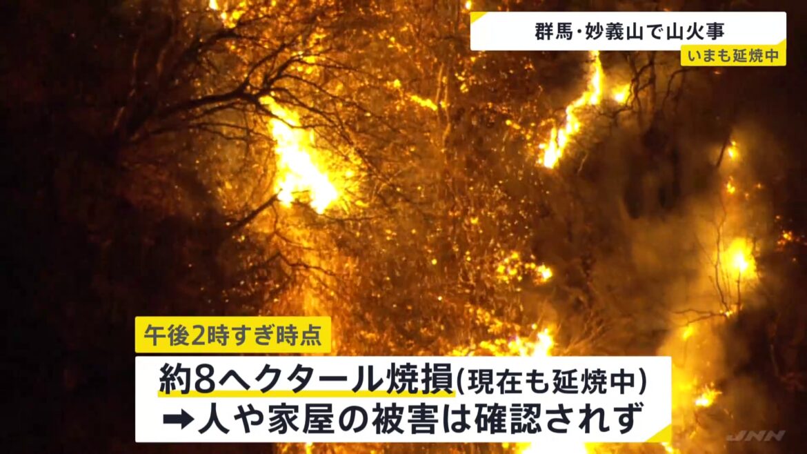 群馬・富岡市の妙義山で山火事　“火の勢い衰えていない”　県が自衛隊に災害派遣要請　あす朝消火活動再開へ（TBS NEWS DIG Powered by JNN）