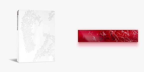 『V 'TYPE 非'』『V 'TYPE 非' POSTER SET』