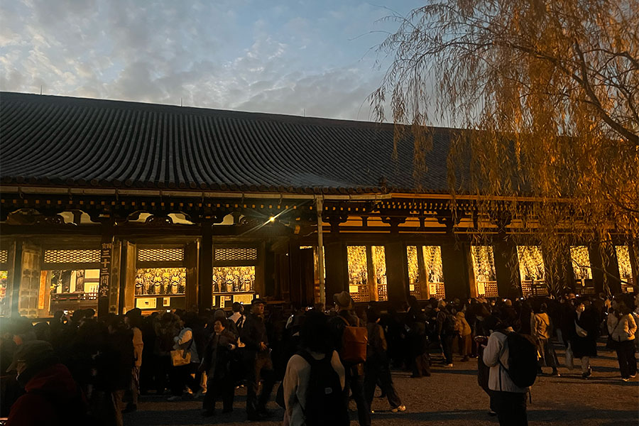 一面黄金色に照らされているが、昼間とライティングは変えていないという（17時半ごろ、Lmaga.jp撮影）