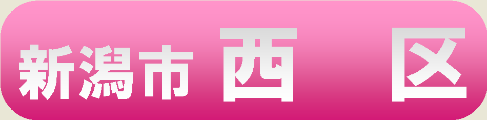 新潟市西区