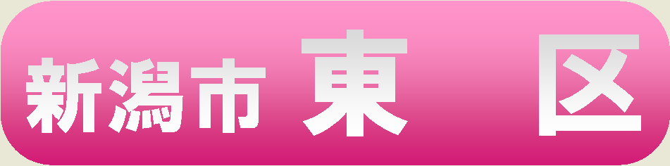 新潟市東区