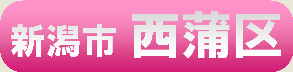 新潟市西蒲区