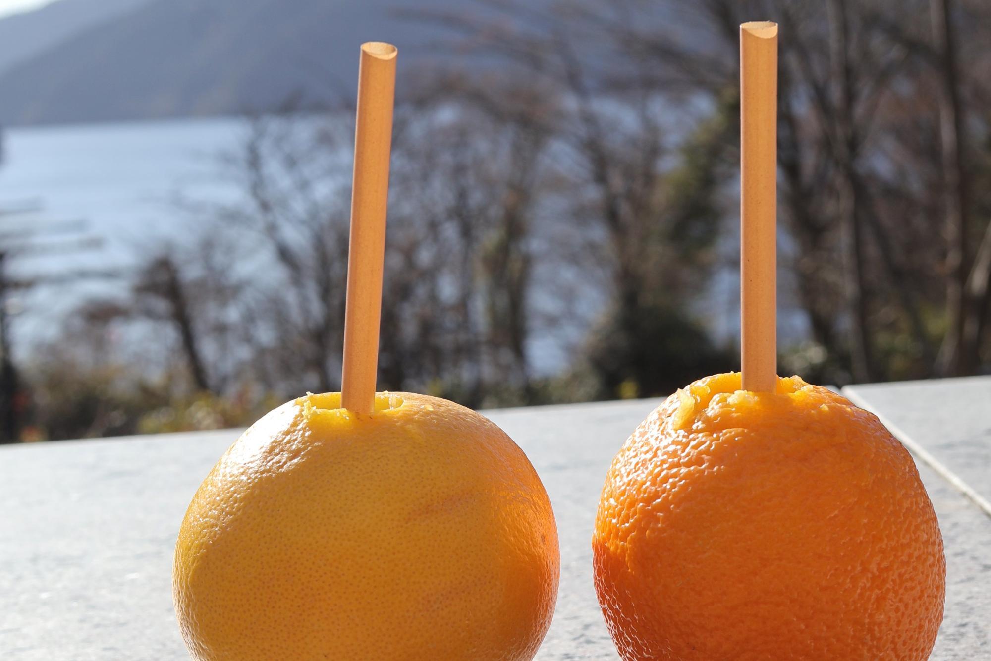 左：グレープフルーツのカジュッタ　右：オレンジのカジュッタ