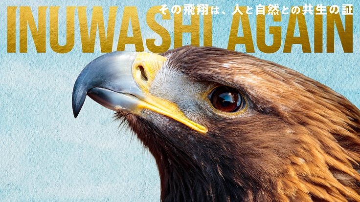 INUWASHI AGAIN 南三陸イヌワシ野生復帰プロジェクト(南三陸イヌワシ野生復帰プロジェクト 2026/01/26 公開) 南三陸イヌワシ野生復帰プロジェクト