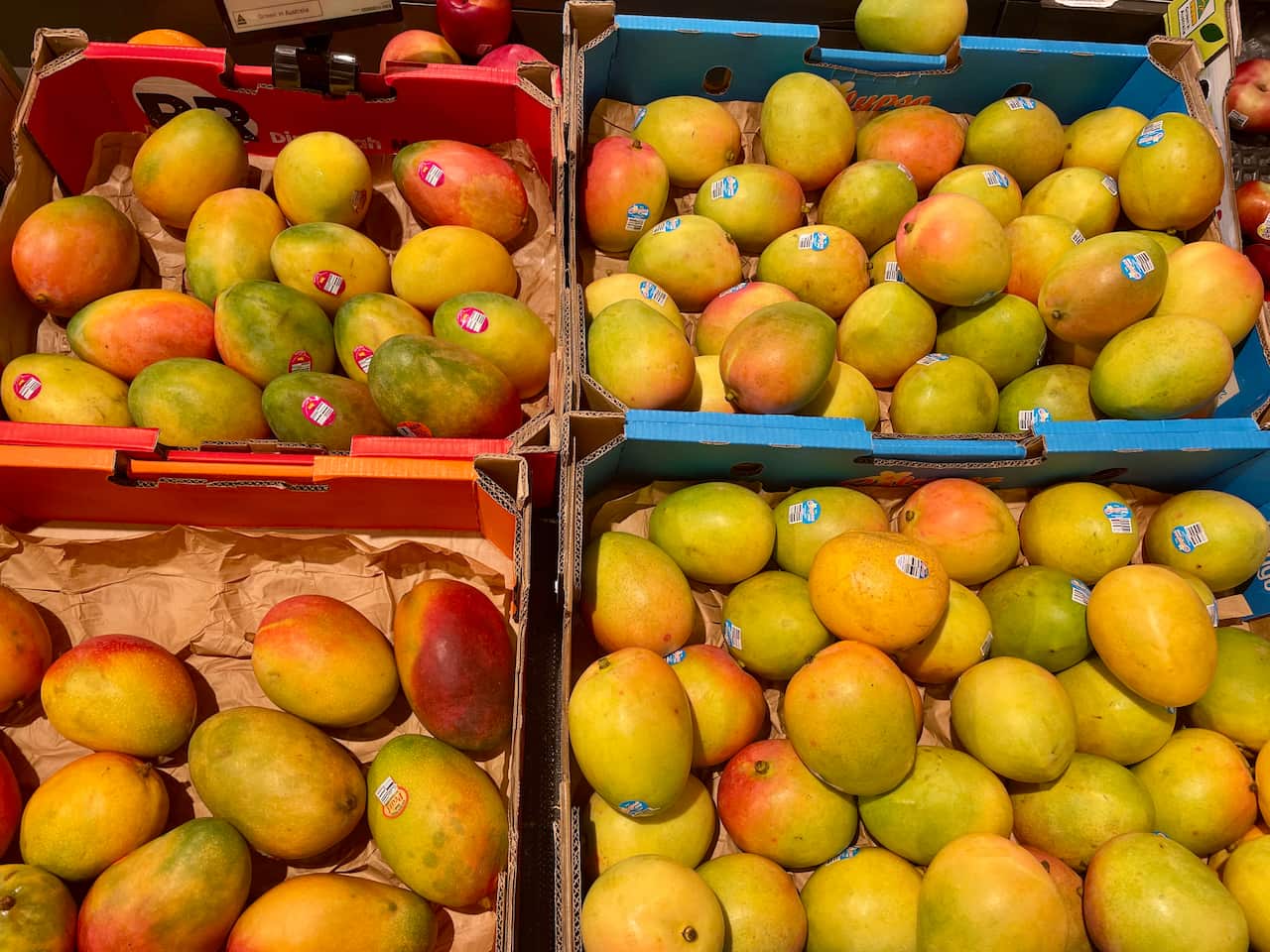 Mango.jpeg