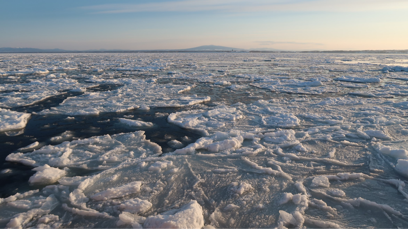 オホーツクエリアには違う季節に何度も訪れて流氷を楽しみました。