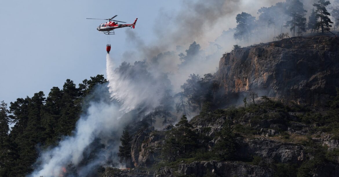 欧州熱波、依然猛威　仏・スペインで山火事 | ロイター