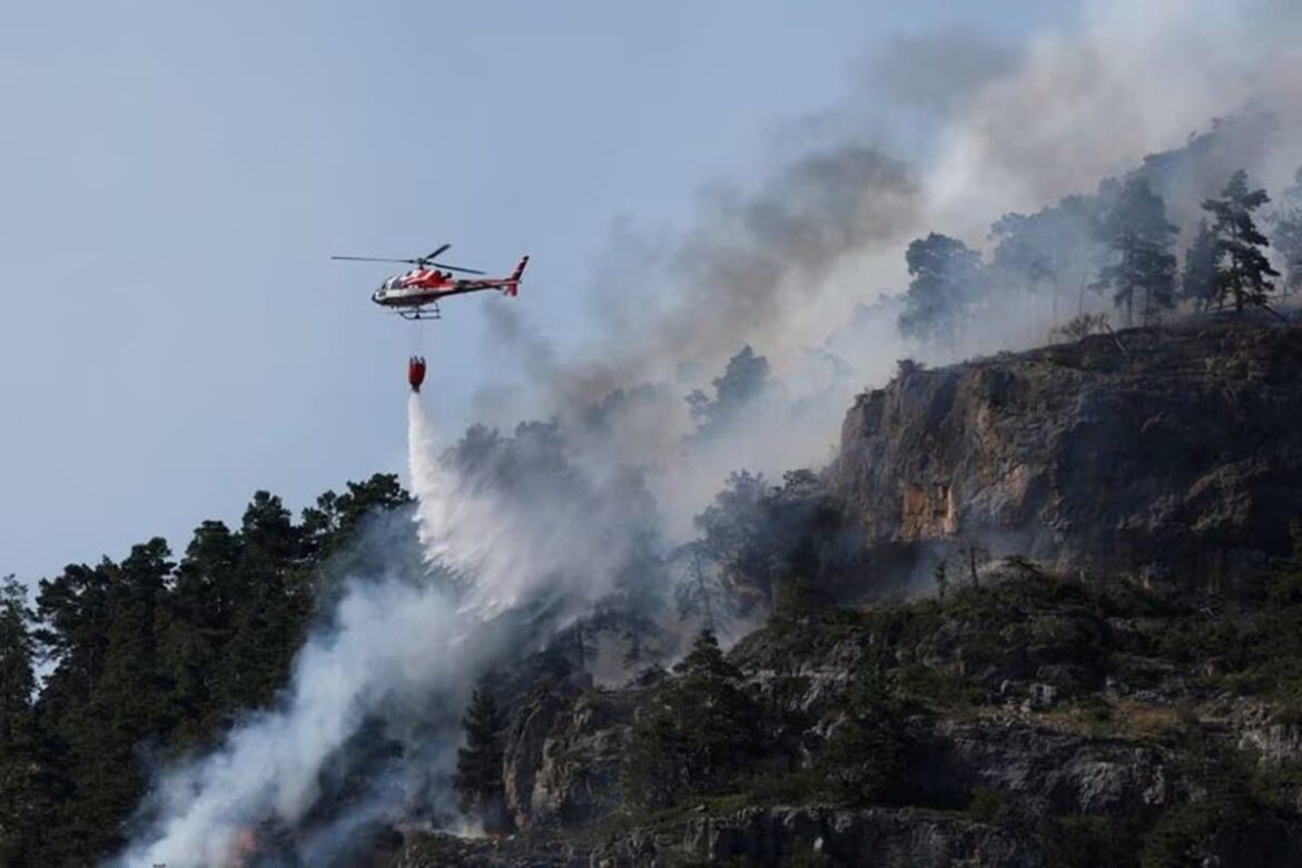 フランスやスペインでは山火事が…留まることを知らぬヨーロッパの熱波の現状 | ニューズウィーク日本版 オフィシャルサイト フランスやスペインでは山火事が…留まることを知らぬヨーロッパの熱波の現状 | ニューズウィーク日本版 オフィシャルサイト