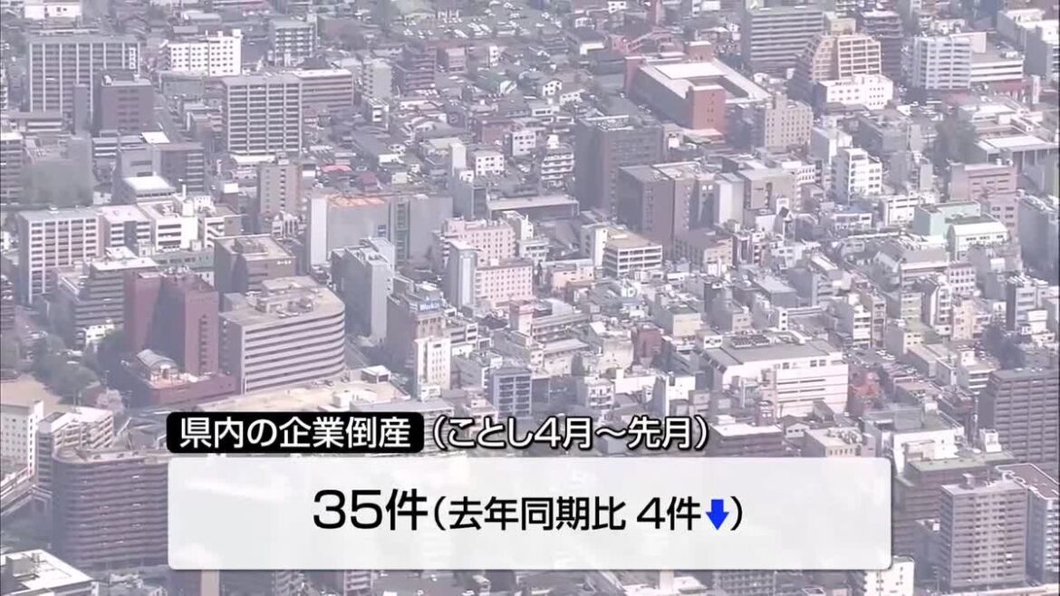 岩手県内 2026年上半期の企業倒産35件 震災以降2番目に多く(2026年10月16日掲載)|TVI NEWS NNN 共有