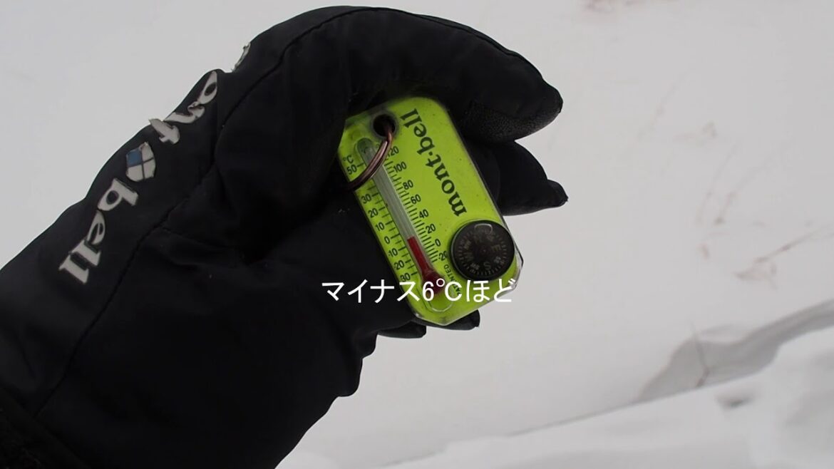 2020/12/20 奥日光戦場ヶ原スノーシュー探鳥散策