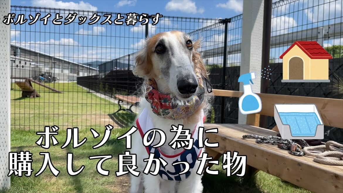 【ボルゾイの為に買って良かった物】色々試した結果我が家の定番になったものたち。