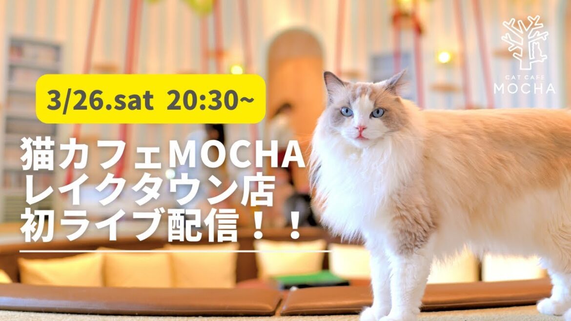 レイクタウン店　初YouTubeライブ！