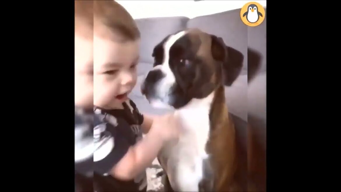 かわいいボクサー犬特集🥰😘😍😊