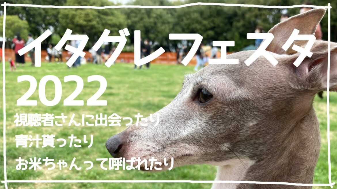 イタグレフェスタ２０２２で、初めて視聴者さんにお会いしました【イタグレ】