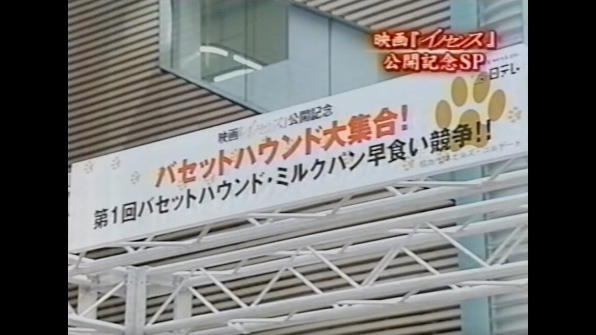押井守監督  バセットハウンド大集合 CM  Basset Hound