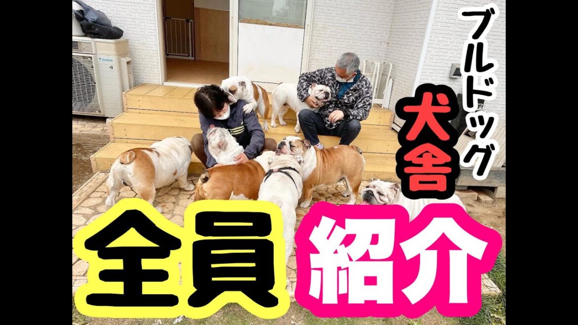犬舎の全メンバー🐶紹介動画！