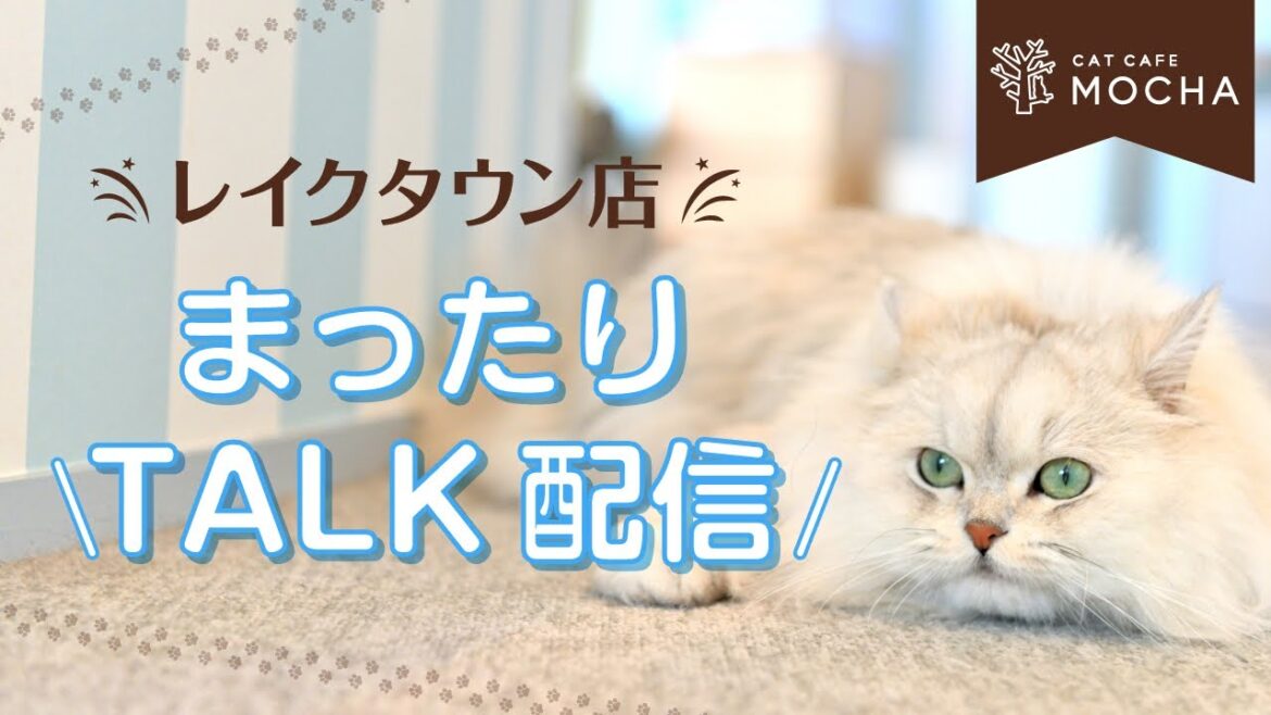 レイクタウン店週末まったり生配信！