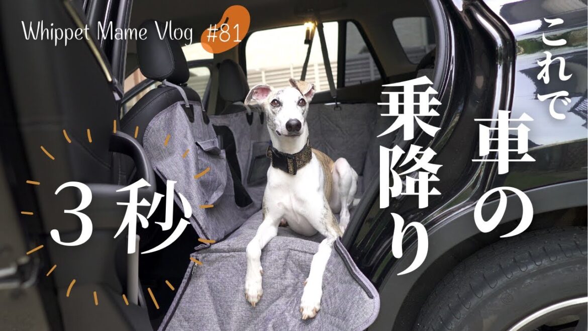 【中型犬以上】楽！車を汚さず！速い！秋のお出かけの効率化　＃81