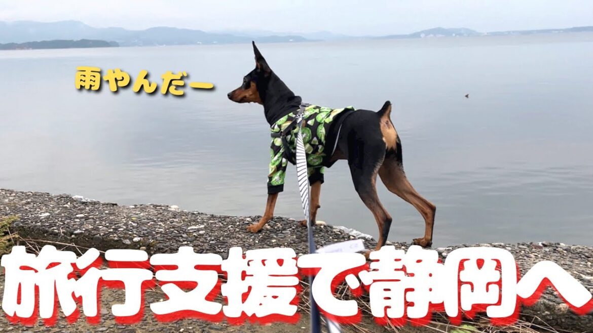 【Day1】全国旅行支援を使ってちゃちゃ丸と初めて旅行に来たら安定の雨でしたｗ【ミニピン】