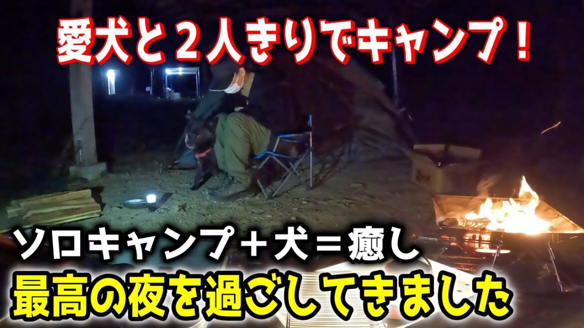 【甲斐犬一休と猫のしずく】愛犬とふたりきりでキャンプに行ったら癒されまくった！