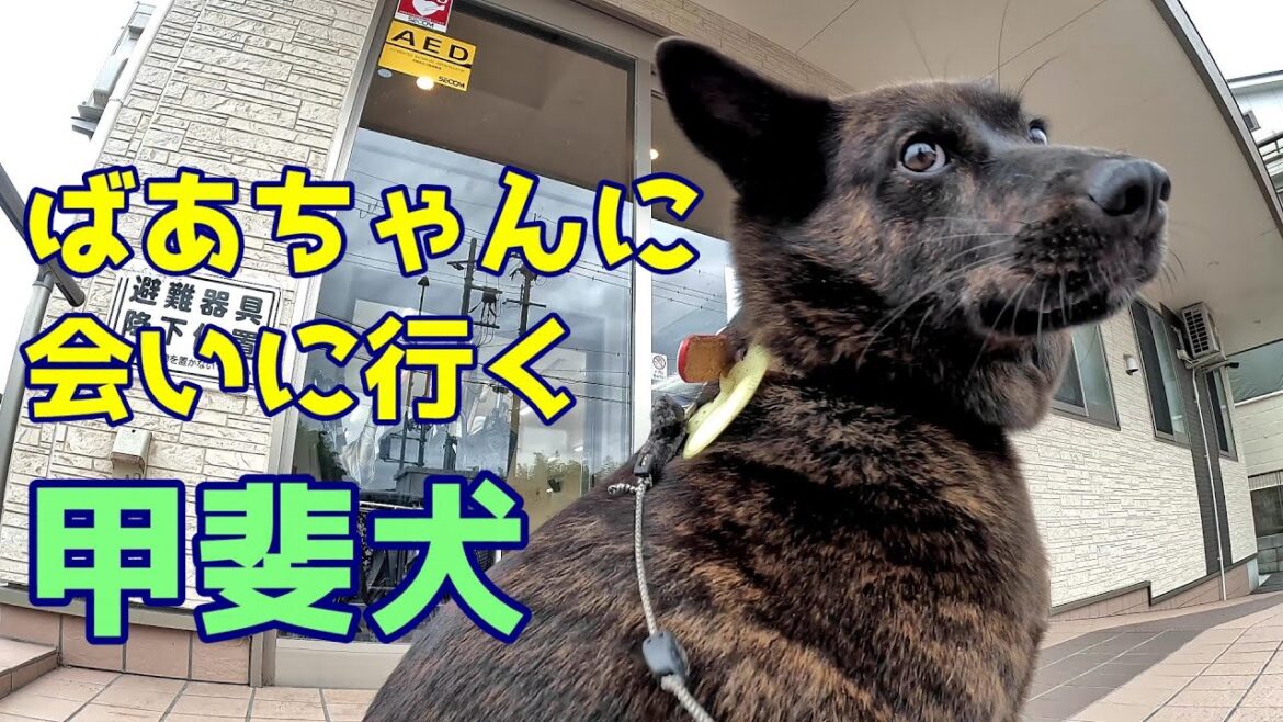 おばあさんに会いに行く