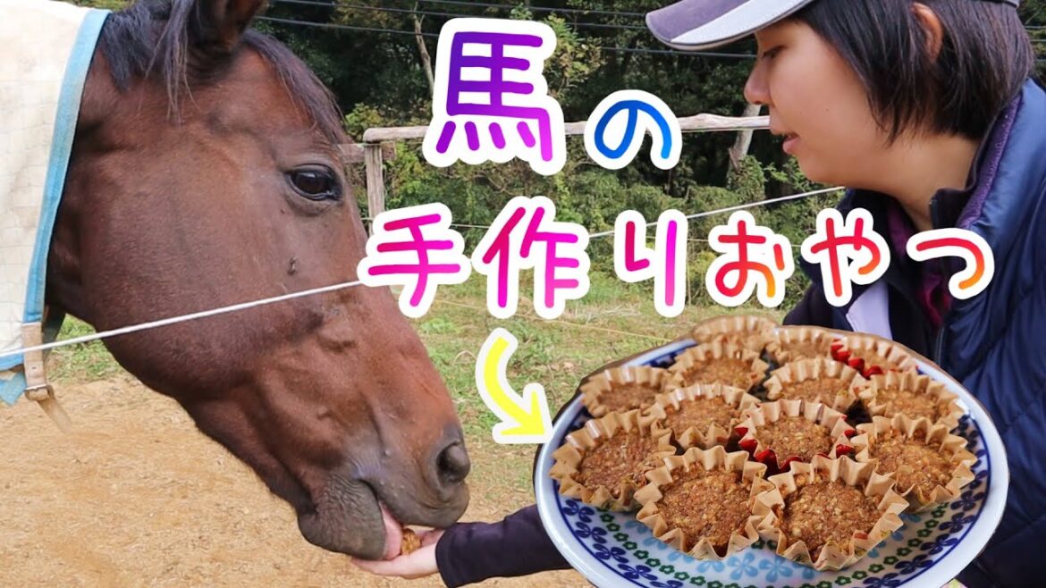 馬のおやつ手作りしてみた！～Yuri's Kitchin～