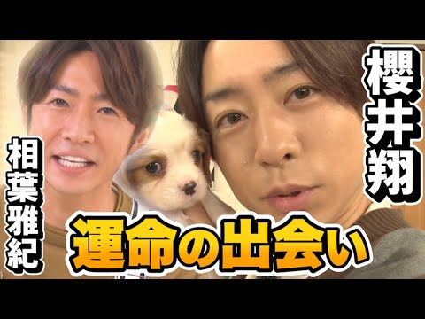 【櫻井翔】運命の出会いに櫻井くんキョトン顔!!【相葉雅紀】 【櫻井翔】運命の出会いに櫻井くんキョトン顔!!【相葉雅紀】