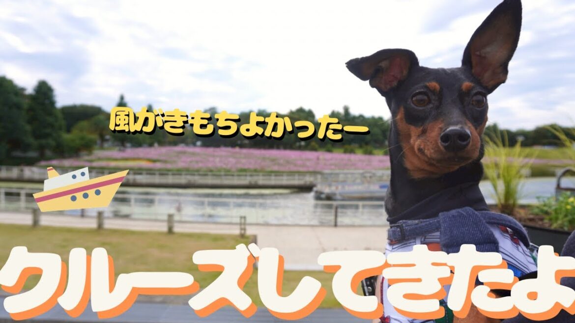 【Day2】浜名湖の真ん中にある公園でクルーズ【ミニピン】