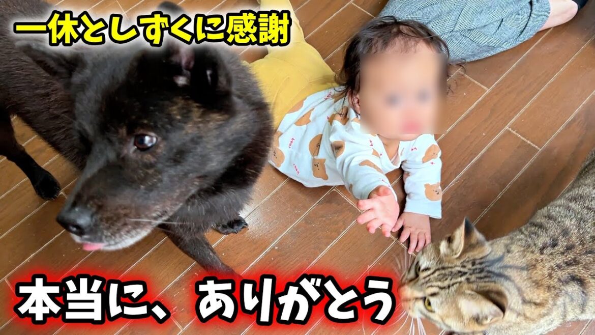 【感謝】炎上してしまった動画の翌日、驚くべきことがおきました