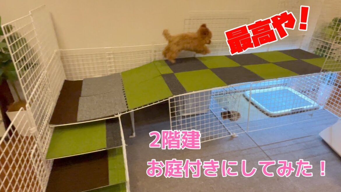 愛犬のトイプードルの家を2階建て庭付きに改装したら大喜びで大興奮ｗ【DIY】