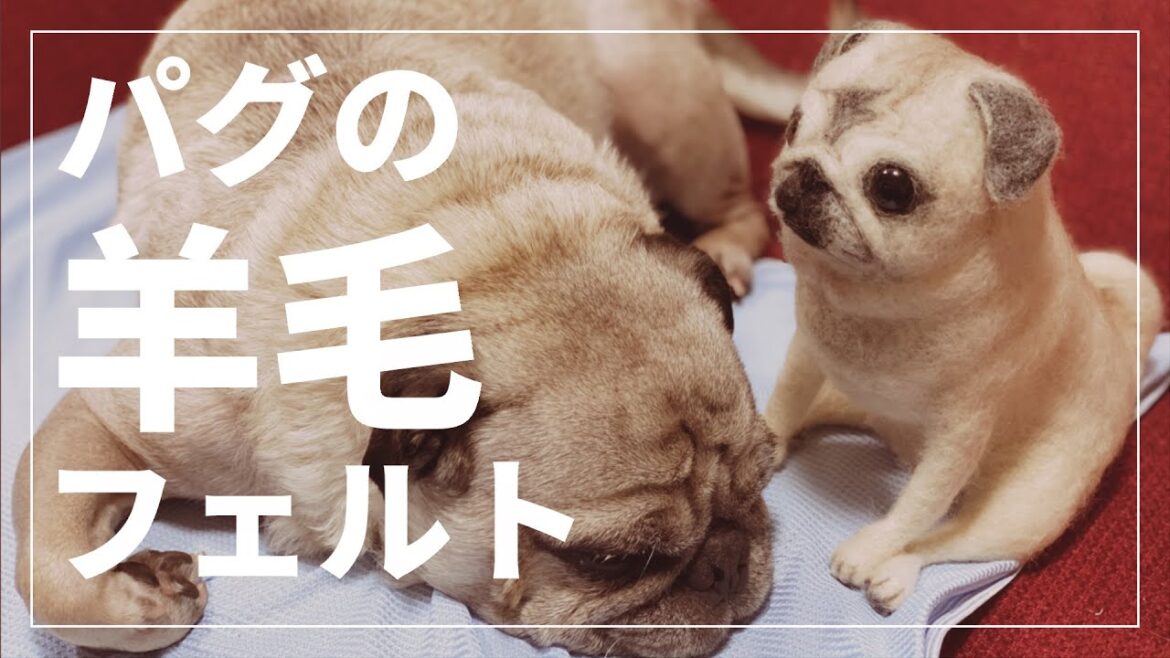 パグの羊毛フェルトに嫉妬するパグ [アラパグ#4]