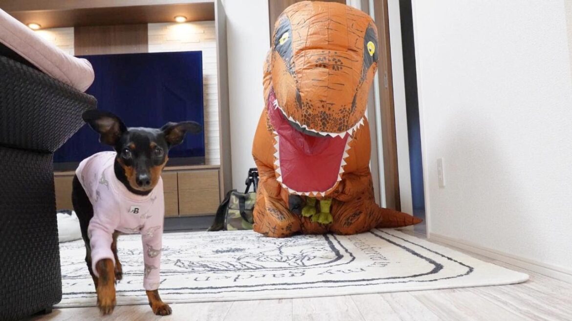 犬にドッキリ！飼い主じゃなくて恐竜が帰ってきたｗｗｗ【ミニピン】