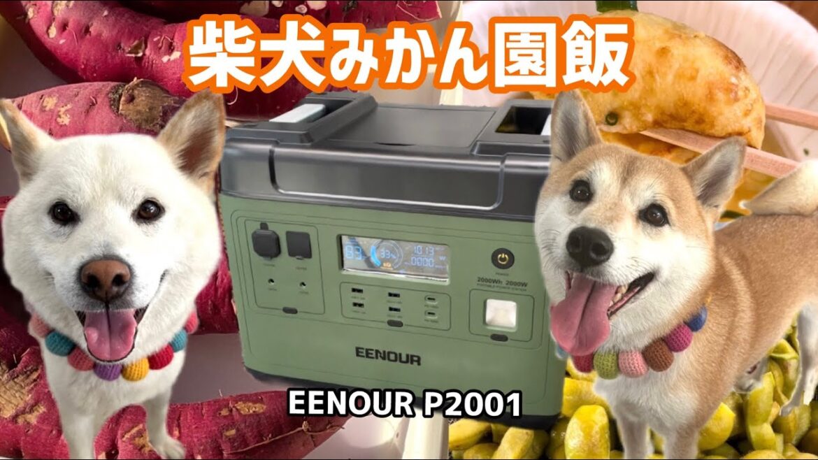 初公開！ポータブル電源で作る柴犬みかん園飯の一例です！| EENOUR P2001
