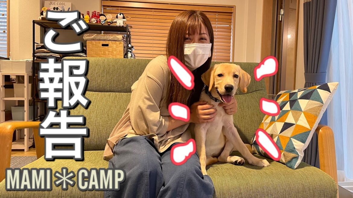 【ご報告#54】我が家にラブラドールレトリーバーの「ぼんちゃん」を迎える事になりました！＆サブチャンネル発表！