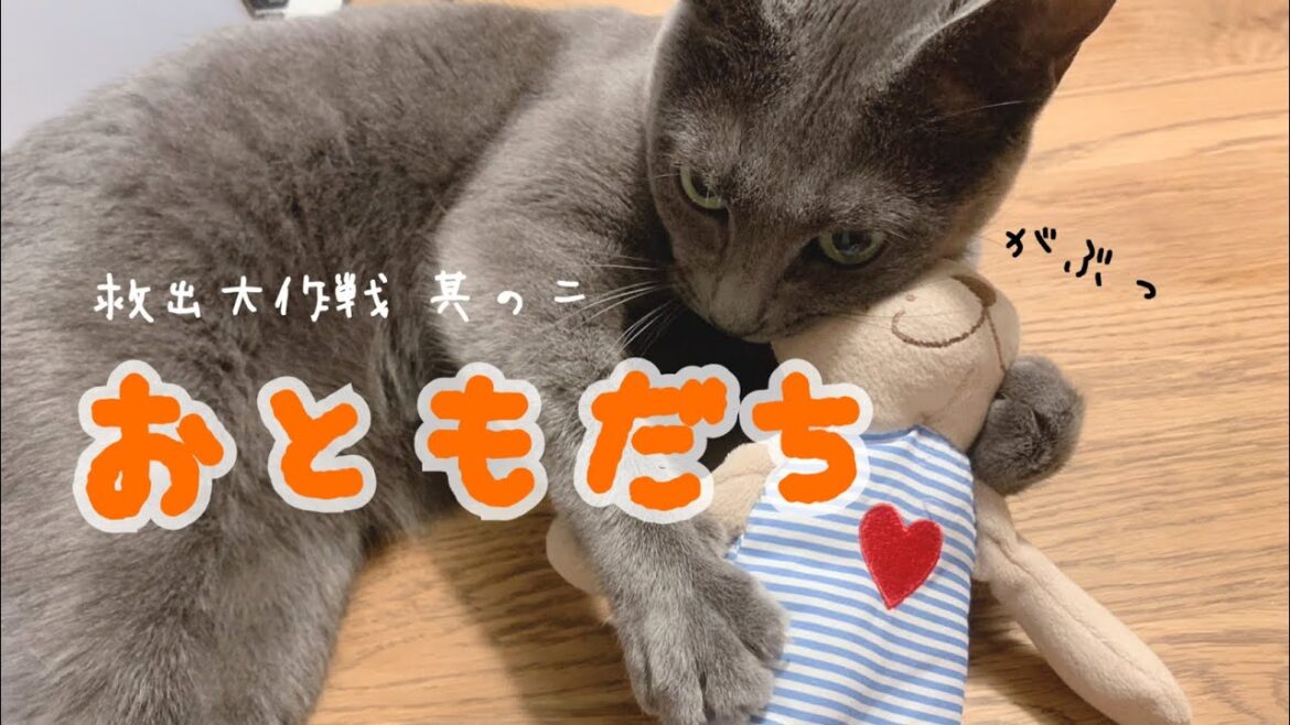 【猫】おともだちを救い出すねこ Part2