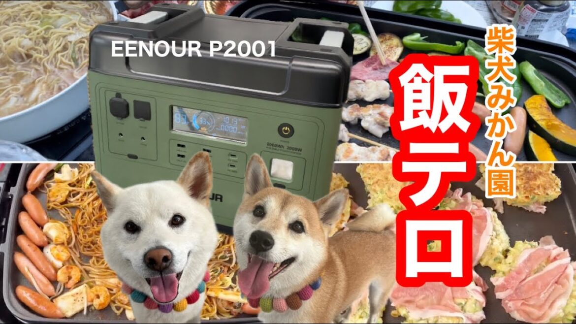 柴犬みかん園飯テロ！EENOUR ポータブル電源 P2001を使って柴犬とお庭ランチ！PART2